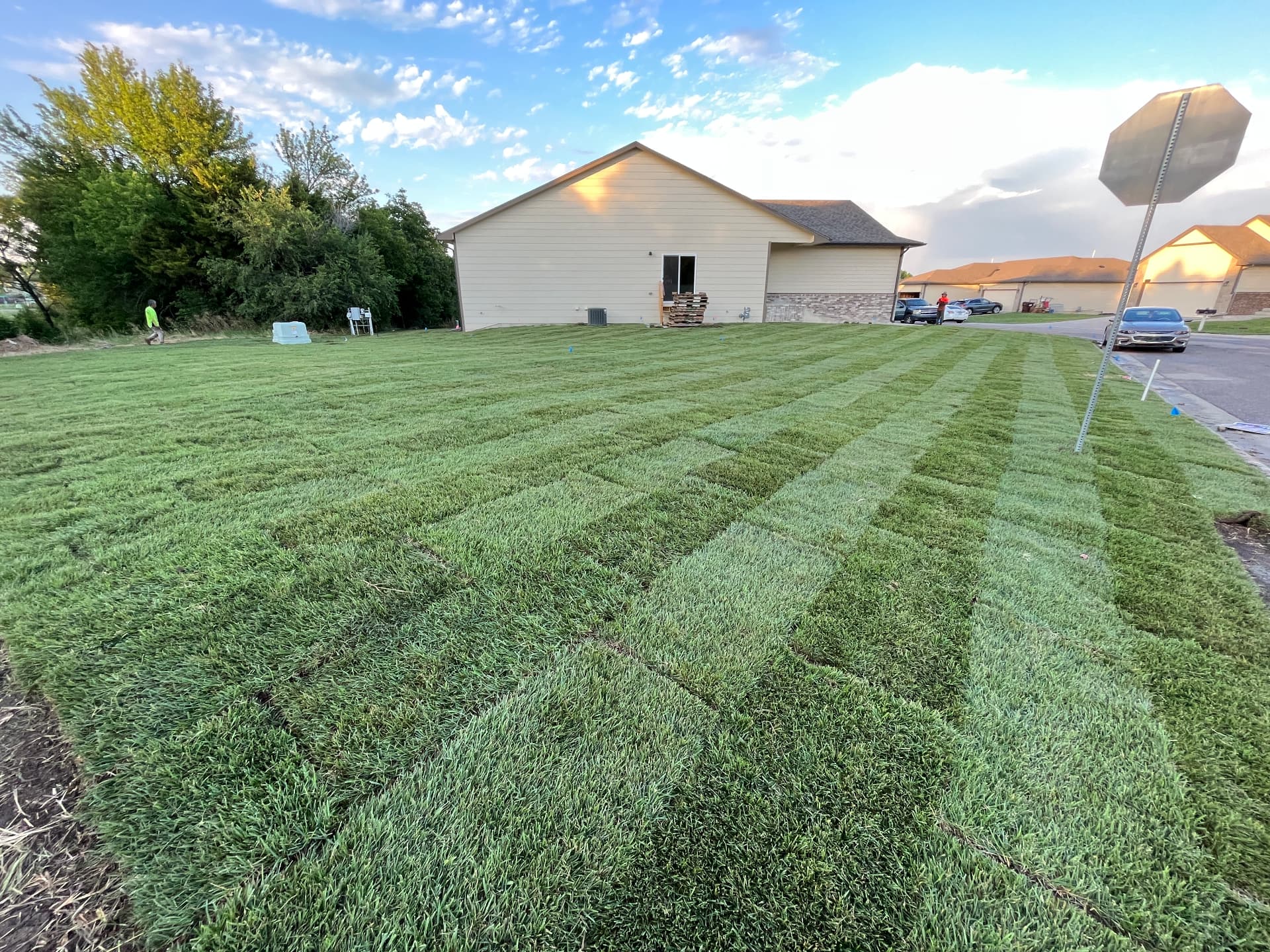 New sod installation covering a corner lot at sunset